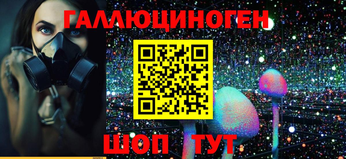Галлюциногенные грибы GOLDEN TEACHER Сочи
